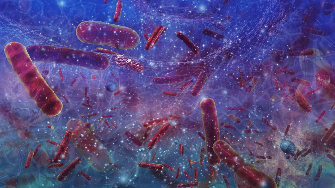 Cruise control Gliding bacteria and their role in antimicrobial