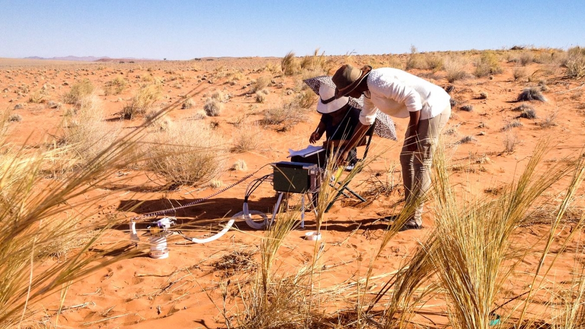 driest-places-on-earth-page-6-24-7-wall-st