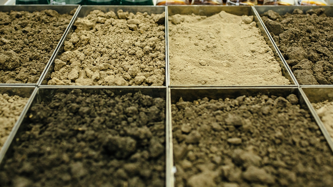 New study shows soil as significant carbon sequestration driver