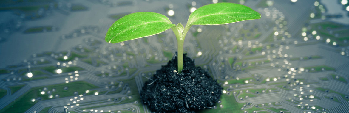 Plant technology image
