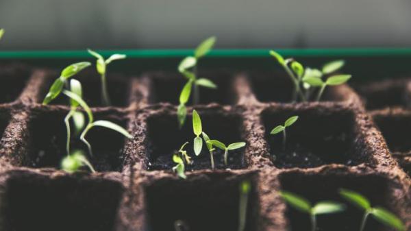 Genetic Resources Policy Initiative (GRPI)