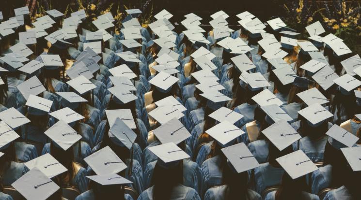 Connecting nuances of foreign status, professional networks, and higher education outcomes in STEM disciplines over time