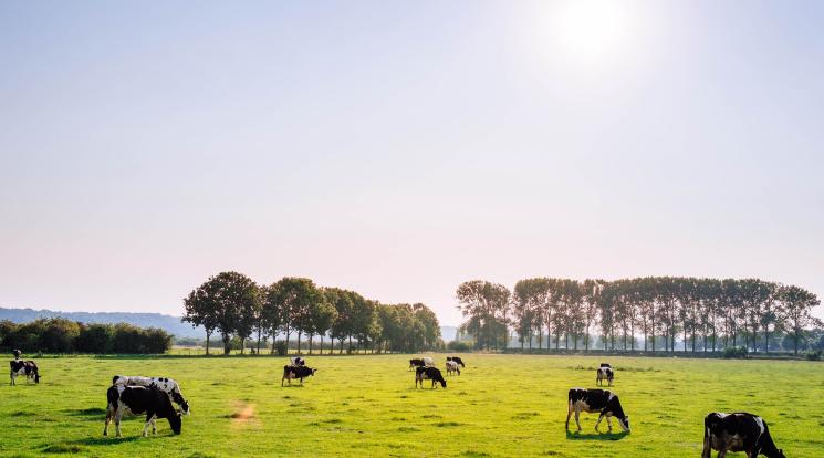 Non-Plant Genetic Resources