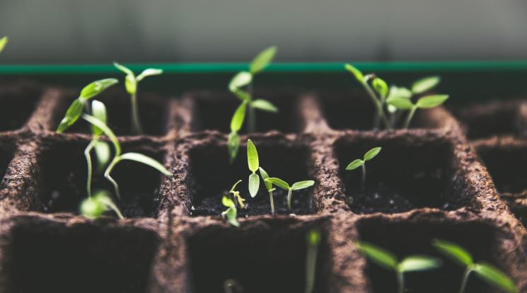 Genetic Resources Policy Initiative (GRPI)
