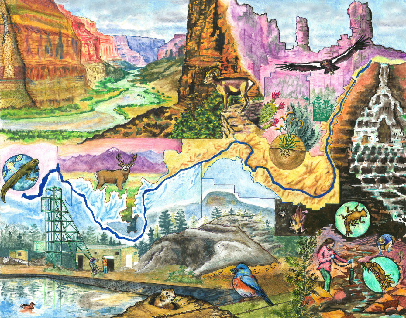 Colored pencil illustration depicting impacts of Uranium mining in the Grand Canyon